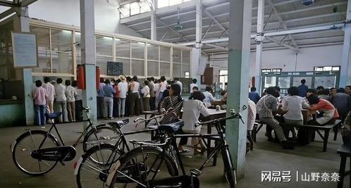 八十年代孤女被領養(yǎng)后的人生反轉 親情比血緣更暖人心