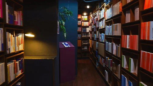 新生特刊 復旦周邊有哪些書店